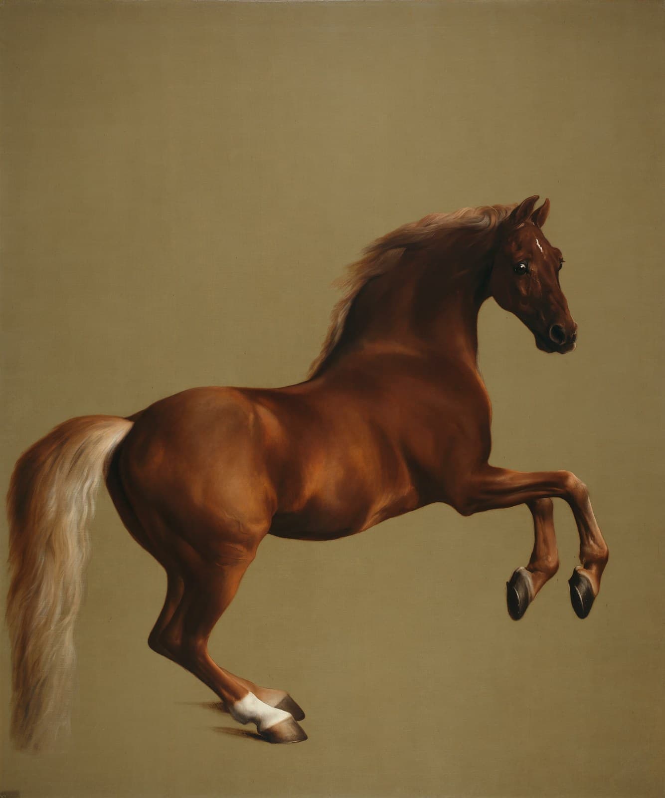 Whistlejacket — Animal Art