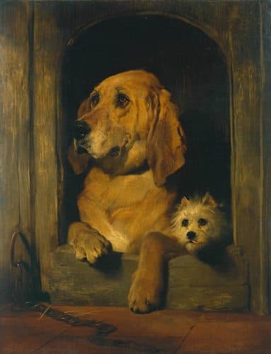 Dignity and Impudence title QS:P1476,en:"Dignity and Impudence "label QS:Len,"Dignity and Impudence " — Pet Portrait