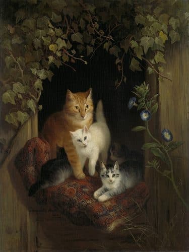 Cat with Kittens — Pet Portrait